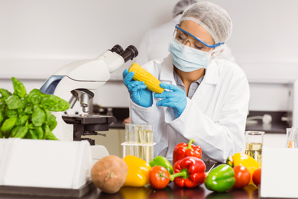CTSAFE ISO 22000 Lead Auditor (self-study)