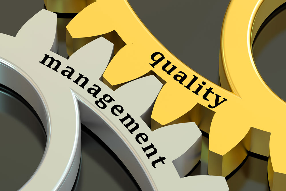 CTSAFE ISO 9001 Lead Implementer (Self-study)
